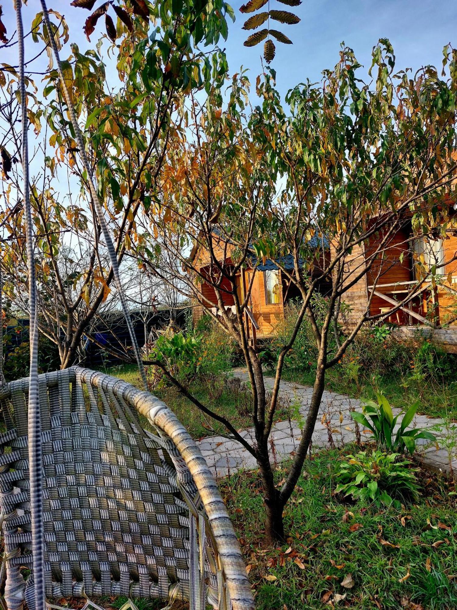 sweet village Tsqaltubo Exteriör bild